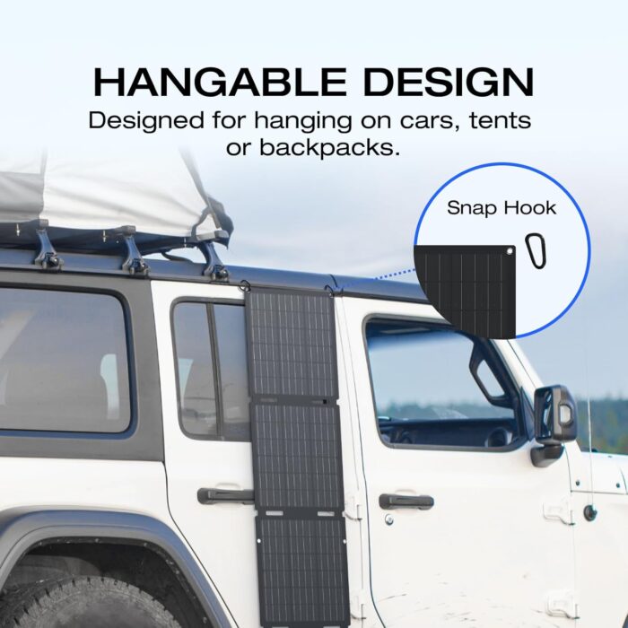 EcoFlow 60W Portable Solar Panel (EFSOLAR60)